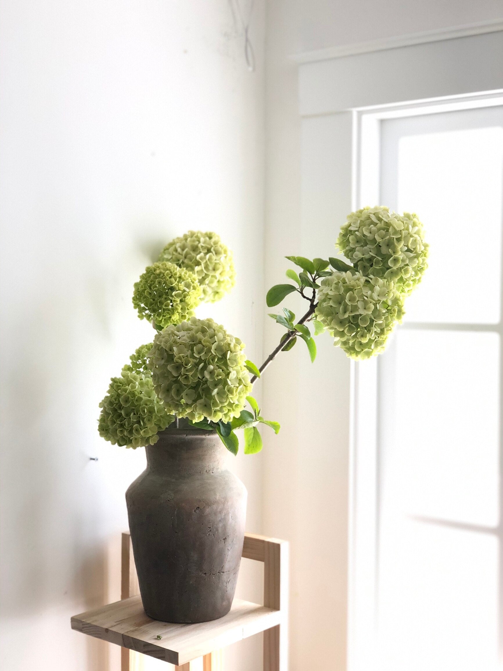 TERRACOTTA-Ceramic Flower Vase - Andrea's Home