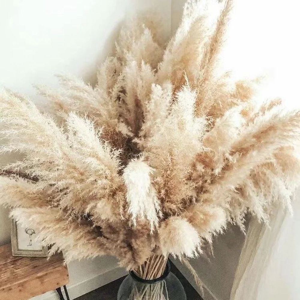 FEATHER-Pampas Grass Large Beige Fluffy Natural Dried Flower Bouquet - Andrea's Home