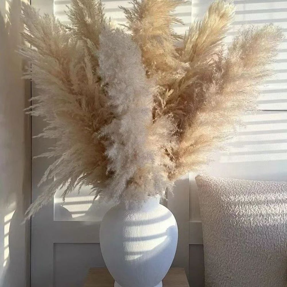 FEATHER-Pampas Grass Large Beige Fluffy Natural Dried Flower Bouquet - Andrea's Home