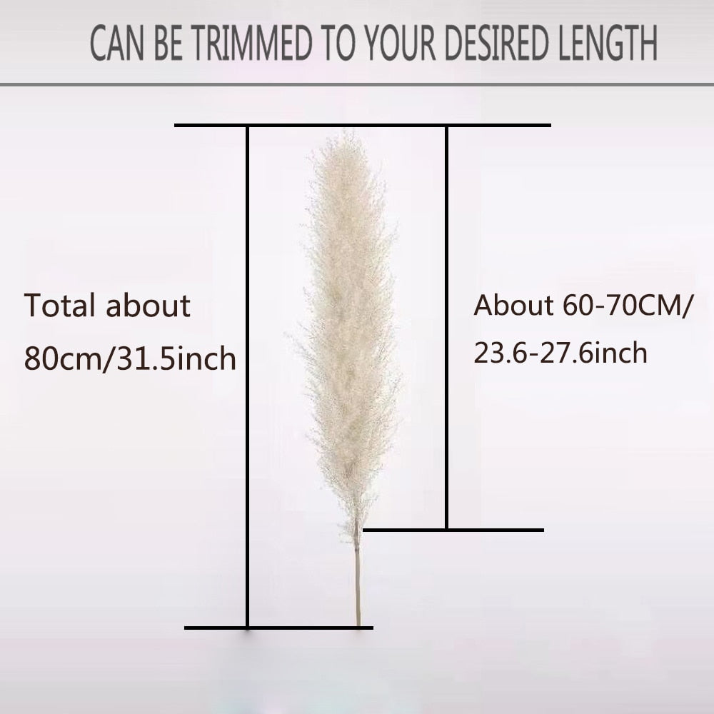 FEATHER-Pampas Grass Large Beige Fluffy Natural Dried Flower Bouquet - Andrea's Home